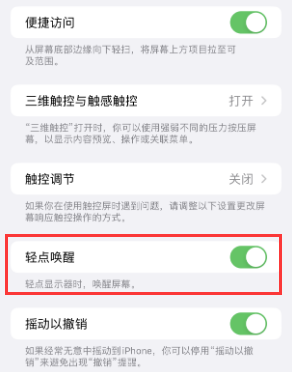 吴忠苹果授权维修站分享iPhone轻点无法唤醒怎么办 