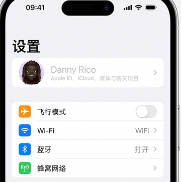 吴忠appleID维修服务iPhone设置中Apple ID显示为灰色无法使用 