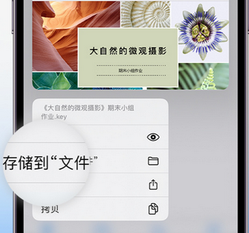 吴忠apple维修中心分享iPhone文件应用中存储和找到下载文件