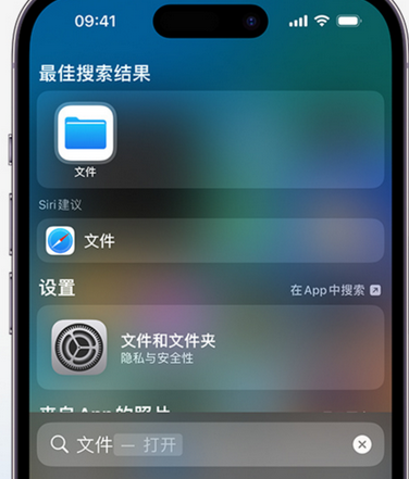 吴忠apple维修中心分享iPhone文件应用中存储和找到下载文件 