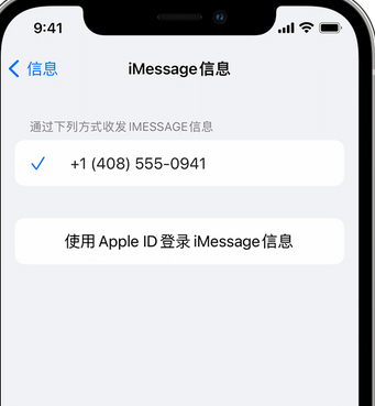 吴忠apple维修iPhone上无法正常发送iMessage信息 