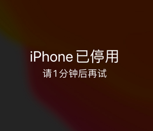 吴忠苹果手机维修分享:iPhone 显示“不可用”或“已停用”怎么办？还能保留数据吗？ 