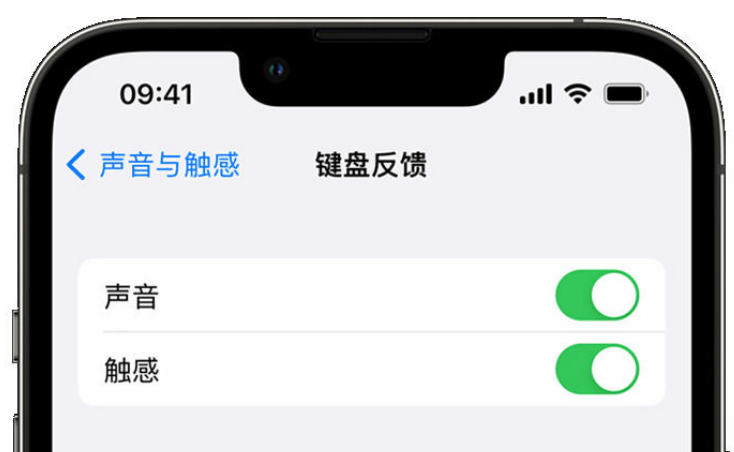 吴忠苹果手机维修分享iPhone 14触感键盘使用方法 