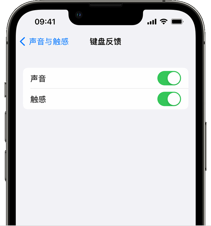 吴忠苹果14维修店分享如何在 iPhone 14 机型中使用触感键盘 