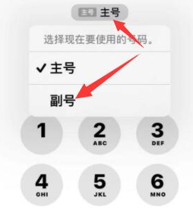 吴忠苹果14维修店分享iPhone 14 Pro Max使用副卡打电话的方法 