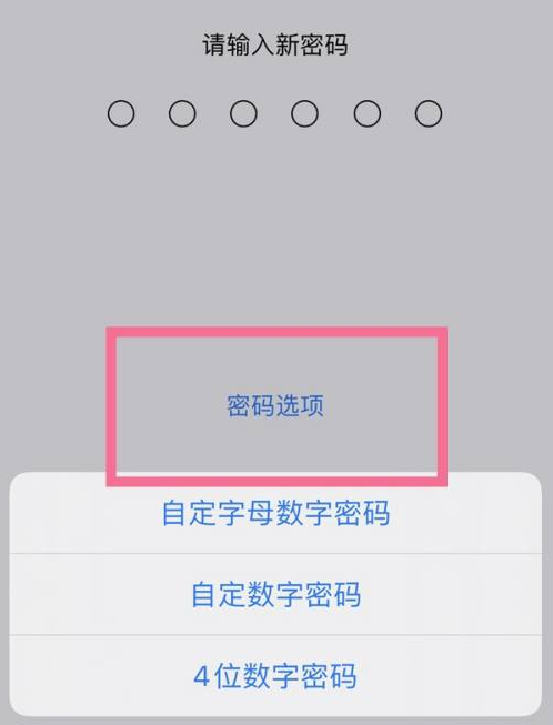 吴忠苹果14维修分享iPhone 14plus设置密码的方法 