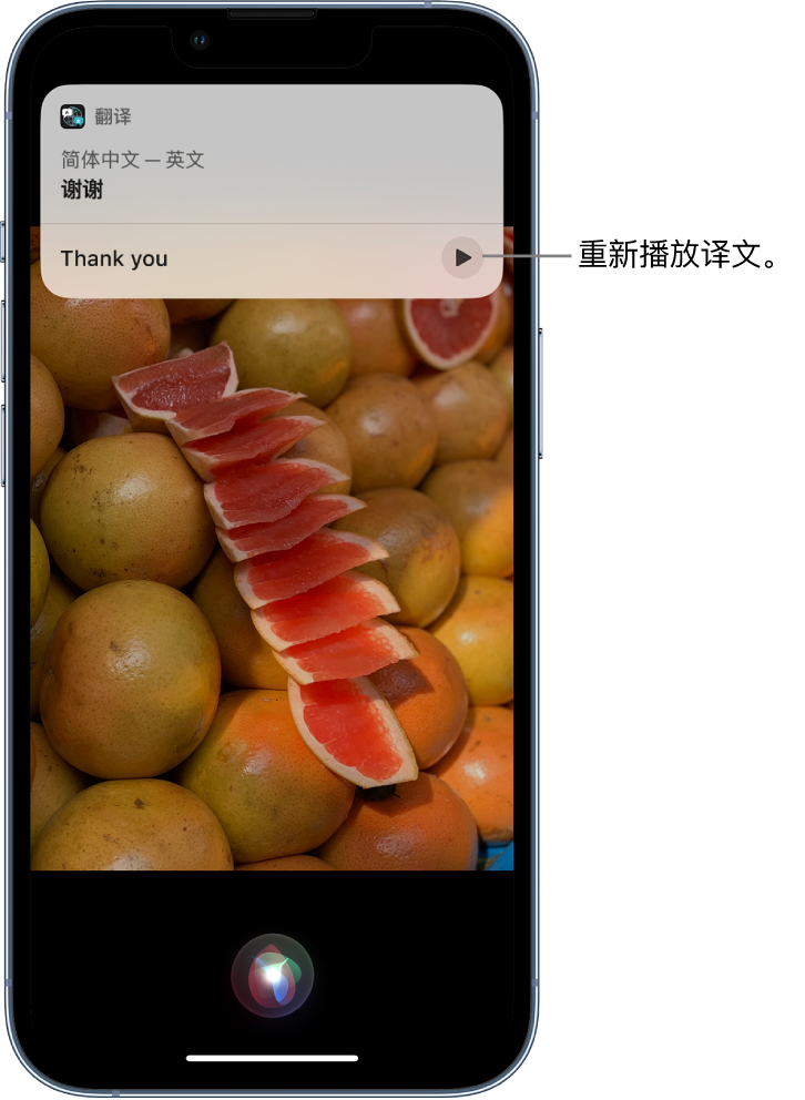 吴忠苹果14维修分享 iPhone 14 机型中使用 Siri：了解 Siri 能帮你做什么 